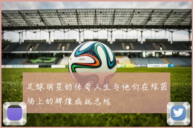 足球明星的传奇人生与他们在绿茵场上的辉煌成就总结