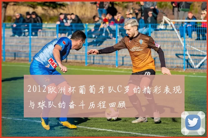 2012欧洲杯葡萄牙队C罗的精彩表现与球队的奋斗历程回顾