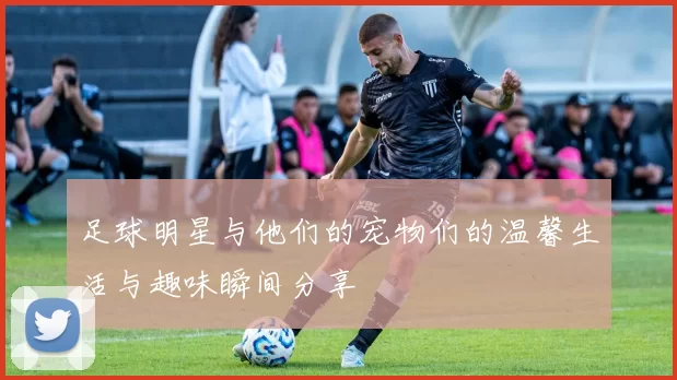 足球明星与他们的宠物们的温馨生活与趣味瞬间分享