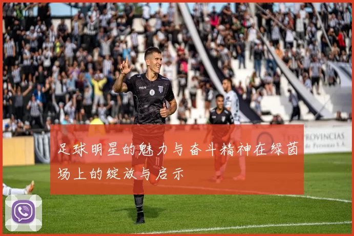 足球明星的魅力与奋斗精神在绿茵场上的绽放与启示