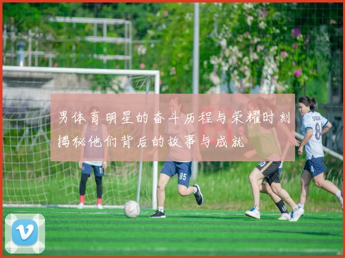 男体育明星的奋斗历程与荣耀时刻揭秘他们背后的故事与成就