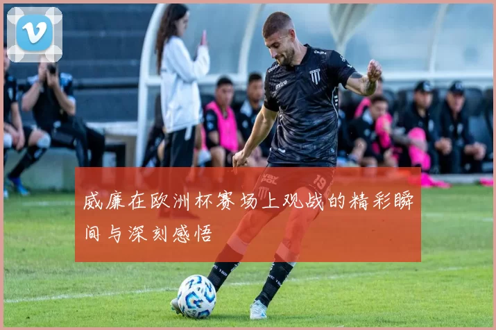 威廉在欧洲杯赛场上观战的精彩瞬间与深刻感悟